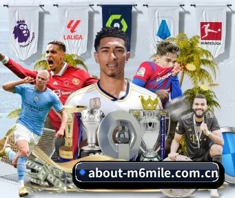 about-m6mile.com.cn APP 界面